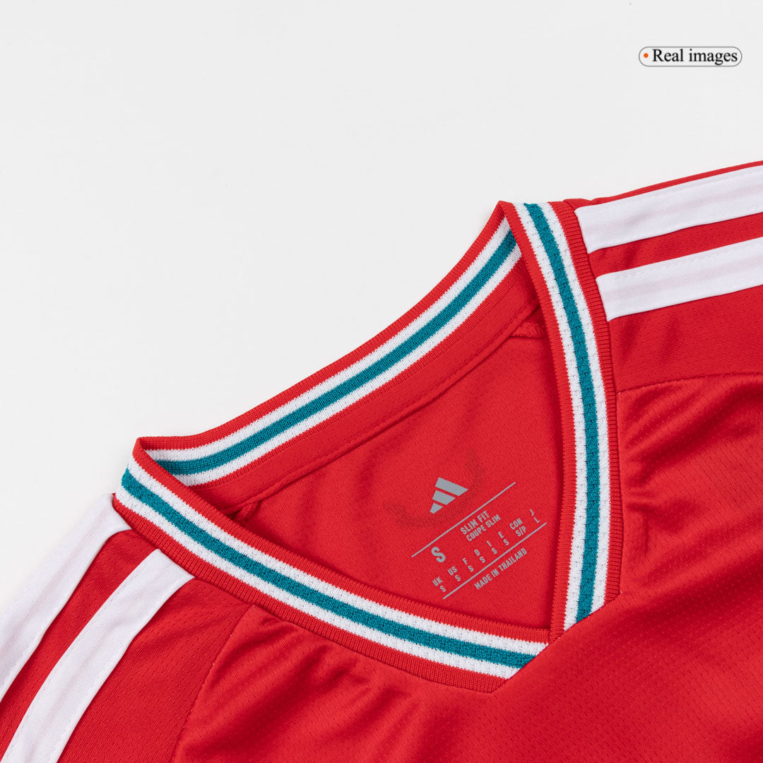 Maillot de foot domicile Pays de Galles Coupe du Monde 2026 Homme