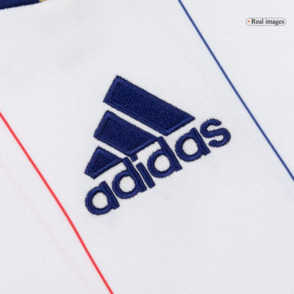 Maillot de Foot Rétro Extérieur France 2010 Homme