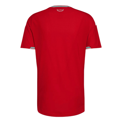 Maillot de foot domicile Pays de Galles Coupe du Monde 2026 Homme